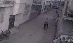 Adana'da kedilerin mamasını çalan şüpheli kamerada