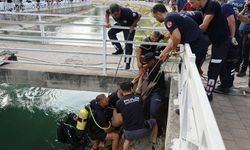 Adana'da sıcaklar can almaya devam ediyor! Bu yıl 13 kişi boğularak öldü