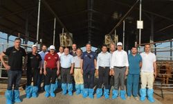 Adana'da yerli hayvancılık için kritik inceleme!