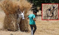 Adana'da zamanın durduğu köyler: 1200 rakımda orakla hasat sürüyor