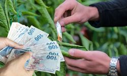 Artan maliyetler çiftçiyi zorluyor! Yüreğir Ziraat Odası'ndan KDV çağrısı