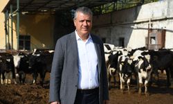 CHP'li Barut: "Bu fiyatla süt üretimi sürdürülemez"