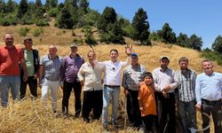 Başkan Cömert Özen üreticilerle tarlada buluştu