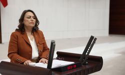 Şevkin: "Yasalar baz alınıyorsa Zeydan Karalar neden göreve iade edilmiyor?"
