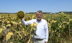 CHP’li Barut: "Çiftçi kazanırsa, tüketici gıdaya daha ucuza ulaşır"