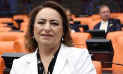 CHP'li Şevkin TBMM'de seslendi: "Gıda güvenliği için mühendis istihdamı şart"