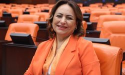 CHP'li Şevkin: "Zeydan Karalar neden görevine iade edilmiyor?"