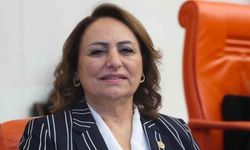 CHP'li Şevkin'den emekli maaşı çağrısı: "En düşük aylık 40 bin TL olmalı"