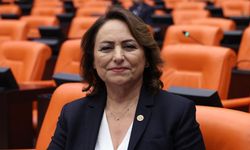 CHP'li Şevkin'den TOKİ'ye çağrı: "Hayalet şehir görüntüsüne son verin"