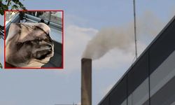 Fabrika bacasından yükselen duman mahalleliyi sokağa döktü
