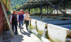Kozan’da üretim atağı! 5 milyon yavru balık yetiştiriliyor