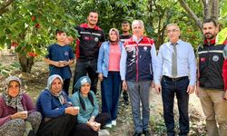İl Tarım Müdürü Bayazıt'tan kiraz üreticilerine ziyaret