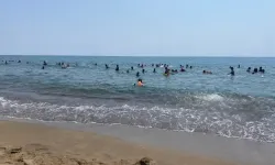 Adana'da sahile gidecekler dikkat! 26 Temmuz'da denize girmek yasak mı?
