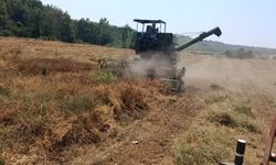 Kozan'da hasat sezonunda denetimler ve uyarılar aralıksız sürüyor