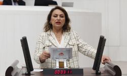 Şevkin: "Bu isimler mi NATO'nun güvenliğini tehdit ediyor?"