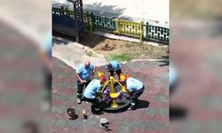 Seyhan Belediyesi harekete geçti! Parklar yenilendi, esnafa çevre uyarısı yapıldı