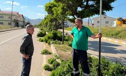 Tufanbeyli'de ağaç budama çalışmaları tamamlandı