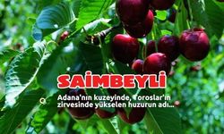 Validen Saimbeyli Paylaşımı: "Doğanın, Tarihin ve Huzurun Adresi Sizleri Bekliyor"