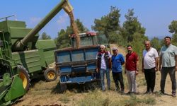 Yerli nohut çeşitleri Adana'da üreticiyle buluşuyor