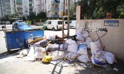 Adana Seyhan'da çöp çilesi: 35 Derecede kötü koku tepkisi
