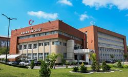 Adana'da Cumhuriyet coşkusu başlıyor: 103. Yıl kutlama programı belli oldu