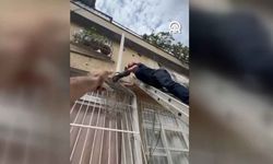 Adana’da gider borusuna düşen kedi yavrusunu itfaiye kurtardı