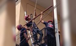 Adana’da güvercinin imdadına itfaiye ekipleri yetişti