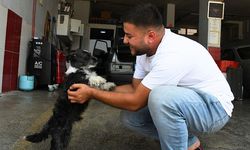 Adana'da nefes alamayan köpeği esnaf kurtardı! O anlar kamerada