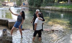 Adana'da saklı cennet! Bucak Vadisi doğaseverlerin yeni rotası