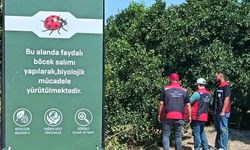 Adana'da Tarım Müdürlüğü uyardı! Bu tabelayı gören çiftçiler dikkat