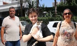 Adana’daki pitbull saldırısına mahallelilerden tepki: “O can da değerliydi”