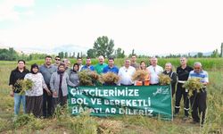 Başkan Vekili Geçer'den Tufanbeyli'de üreticiye ziyaret