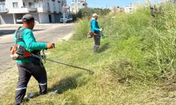Ceyhan'da temizlik seferberliği: Ekipler 7/24 sahada