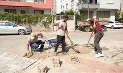 Ceyhan'da ulaşım için yoğun mesai