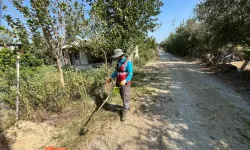 Ceyhan'da yeşil alanlar yenileniyor: Merkez ve kırsalda kapsamlı bakım