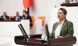 Şevkin'den Bakan Yusuf Tekin'e YÖK çağrısı!