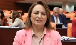 CHP'li Şevkin: "Çocuklar cezayla değil, sosyal politikalarla korunur"
