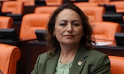 CHP'li Şevkin'den Çukurova Havalimanı'ndaki işten çıkarmalara tepki