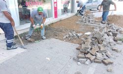 Dervişiye Mahallesi'nde yürüyüş yolu ve merdivenler bakıma alındı