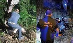 İş makinesi bu kez can kurtardı: Uçuruma düşen inek kurtarıldı