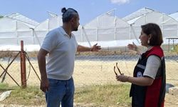 Karaisalı’da Avokado üretimi için yeni sera hazırlanıyor