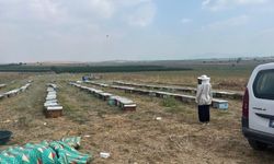 Kozan’da arıcılık destekleme tespitleri devam ediyor