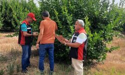 Kozan’da cins değişikliği ve tarımsal elektrik işlemlerinde saha mesaisi