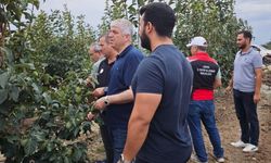 Kozan’da dolu felaketi sonrası hasar tespit çalışmaları sürüyor