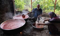 Kozan’da kızılcıklar kara kazana girdi: 100 TL’lik meyve şerbette bin TL’ye çıkıyor