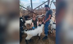 Kozan’da küçükbaş hayvanlar için sağlık seferberliği