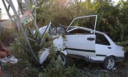 Kozan’da otomobil elektrik direğine çarpıp bahçeye daldı