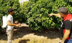 Kozan’da tarım alanlarında hastalık ve zararlı denetimi