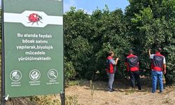 Kozan’da tarım arazilerinde kontroller aralıksız sürüyor