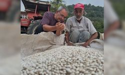 Kozan’da üreticilere yüzde 75 hibeli kuru fasulye desteği